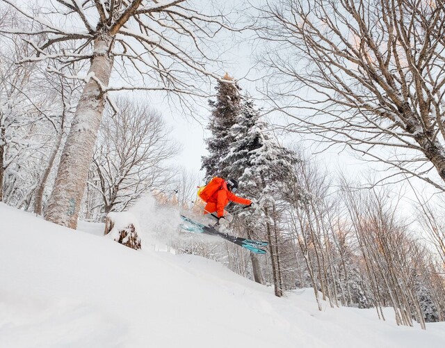 Nos suggestions d'activités hivernales